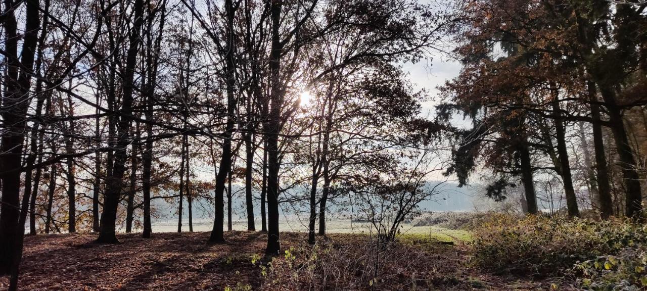 Overbosch Bilthoven Kültér fotó